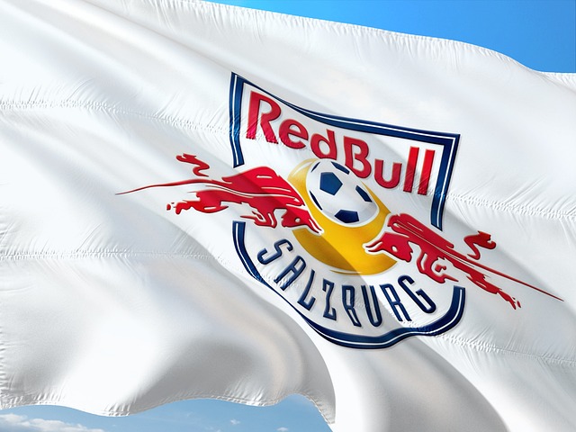 传只有中